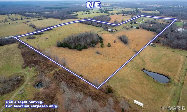 $799,900 | 8685 State Rte AD, Dora, MO 65637