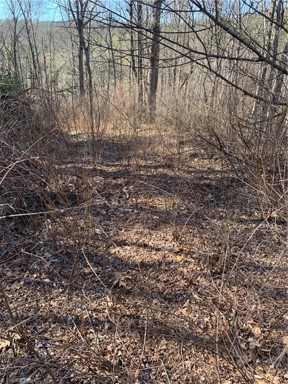 418 Hamlin Ford Road Dobson, NC 27017 - Photo 5 of 13 Gallery Image 5