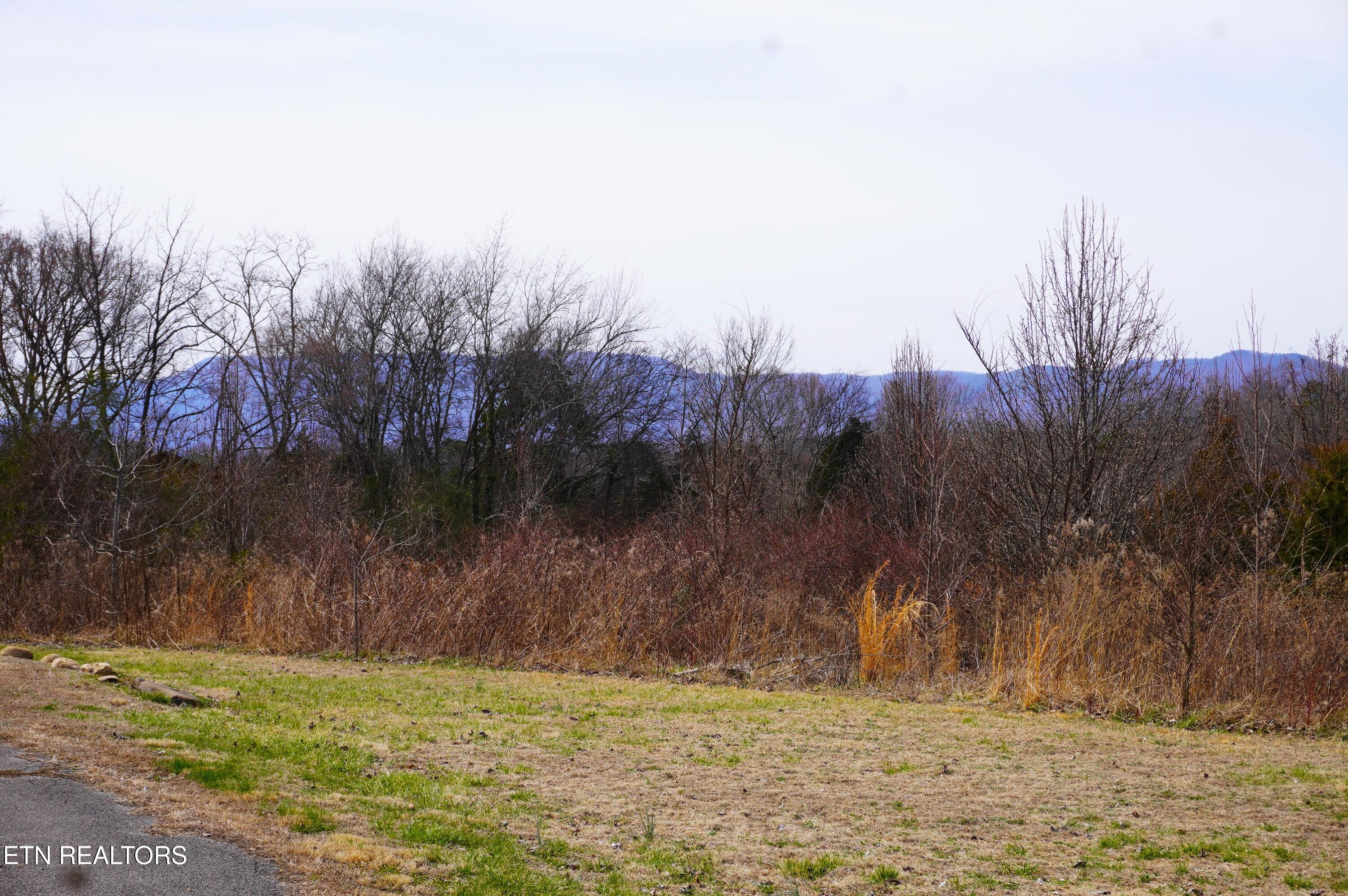 1070 Farm Road Newport, TN 37821 - Photo 43 of 43 farm rd - grube (21)