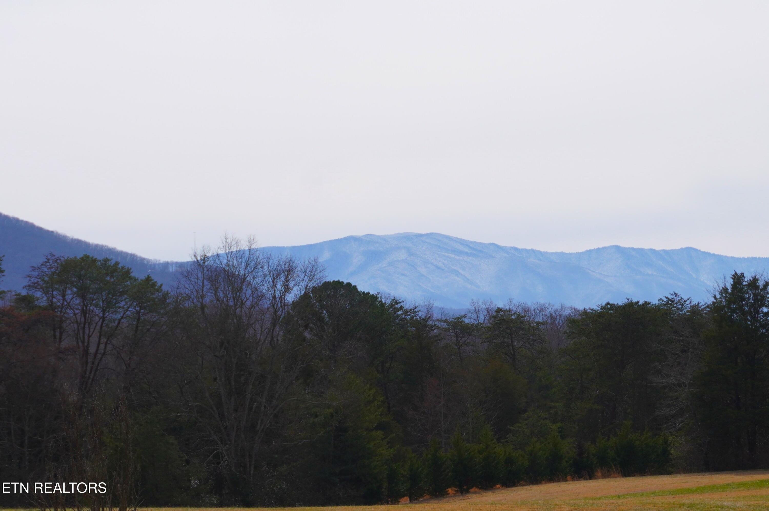 1070 Farm Road Newport, TN 37821 - Photo 5 of 43 farm rd - grube (24)