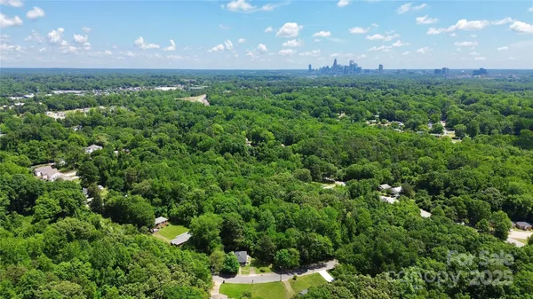a view of a big yard with plants and large trees