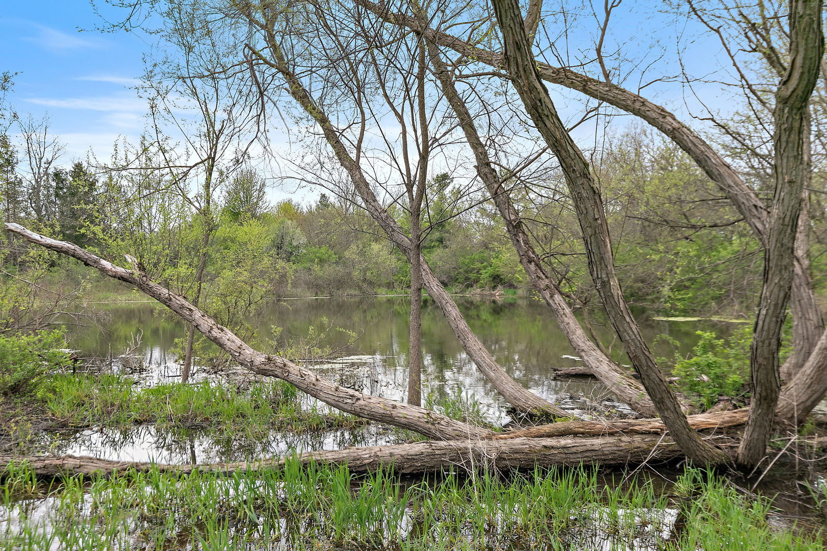14019 Davis Road Woodstock, IL 60098 - Photo 31 of 45