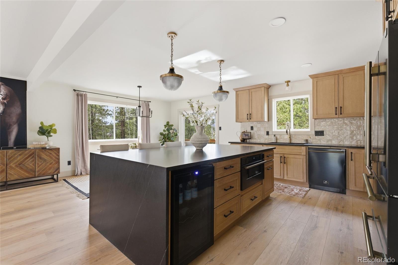 33691 Nova Road Pine, CO 80470 - Photo 11 of 41