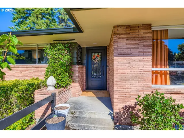 a view of a backyard with plants