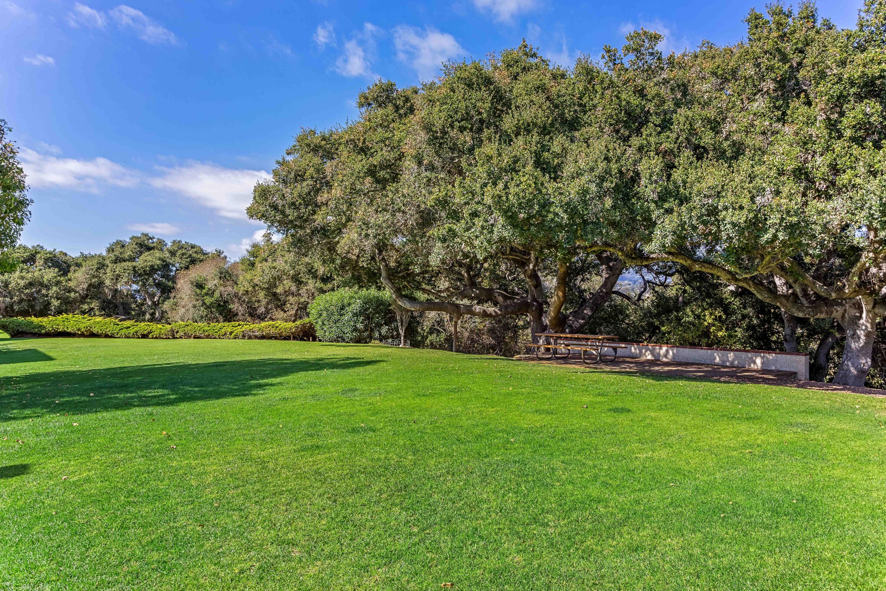 4742 Camino Del Rey Santa Barbara, CA 93110 - Photo 16 of 19 a view of a park with large trees