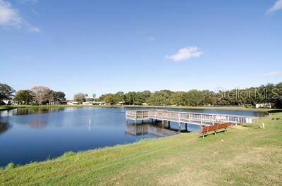 34124 Estates Lane Wesley Chapel, FL 33543 - Photo 30 of 33