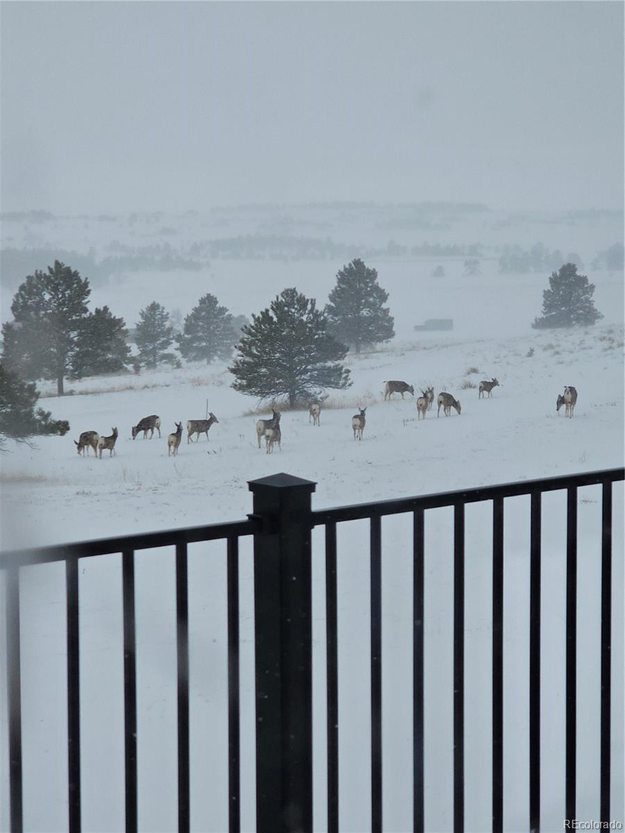33442 County 25 Road Elizabeth, CO 80107 - Photo 33 of 37