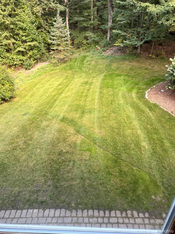 6788 East Hoxie Road Cedar, MI 49621 - Photo 6 of 78