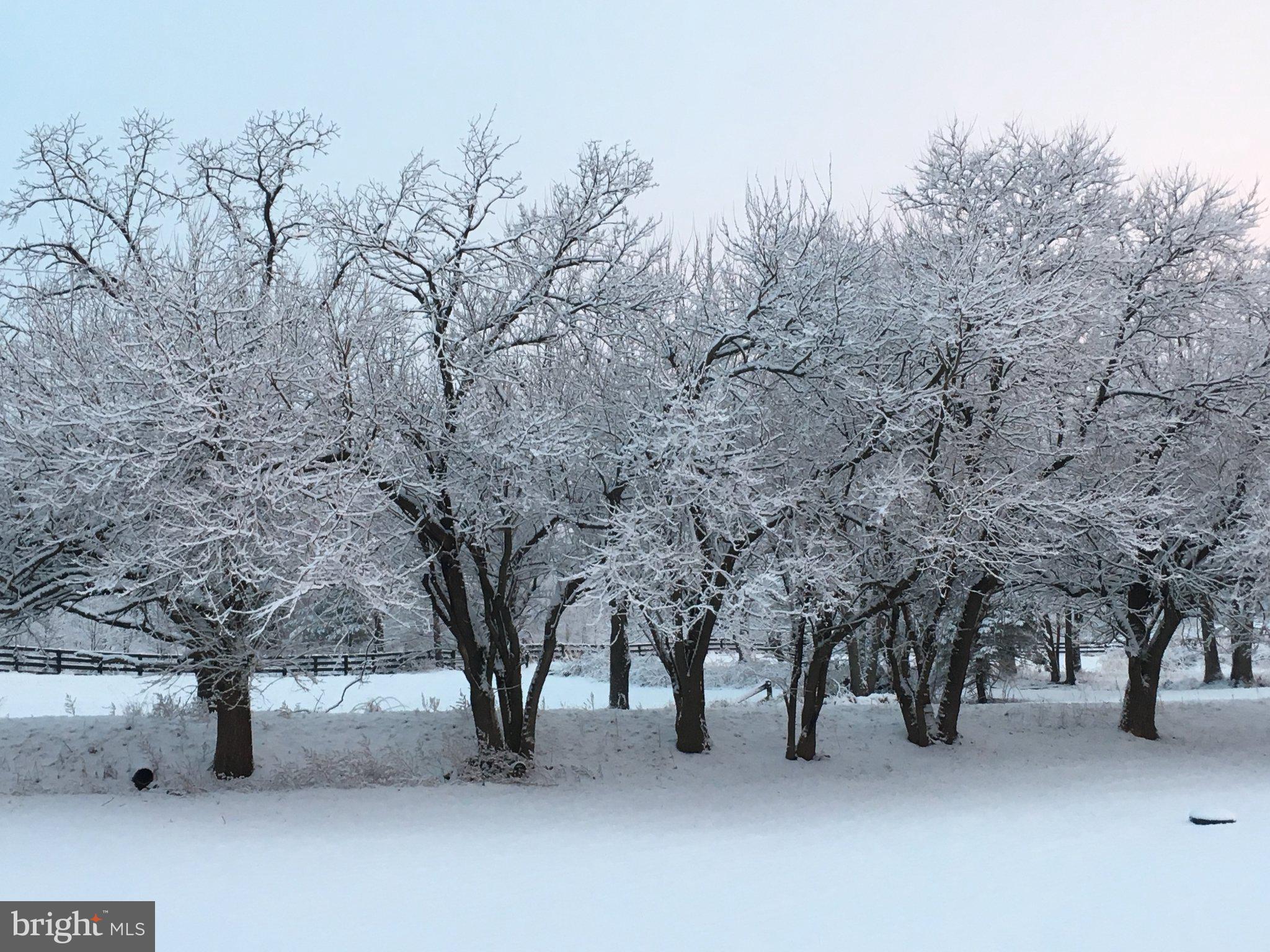 15547 Montresor Road Leesburg, VA 20176 - Photo 51 of 92 Winter scene along the tree line