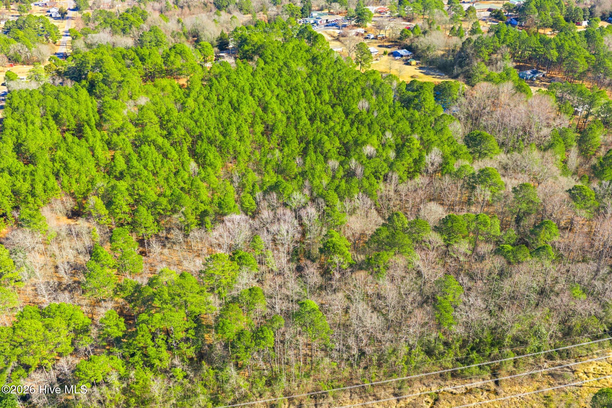 726 Mill Road Hamlet, NC 28345 - Photo 20 of 35 726 Mill Rd
