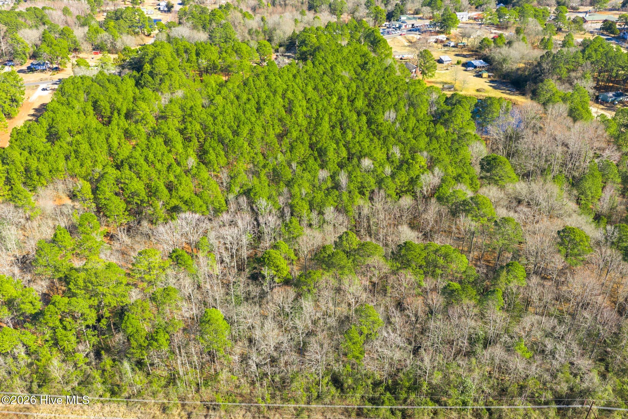 726 Mill Road Hamlet, NC 28345 - Photo 22 of 35 726 Mill Rd