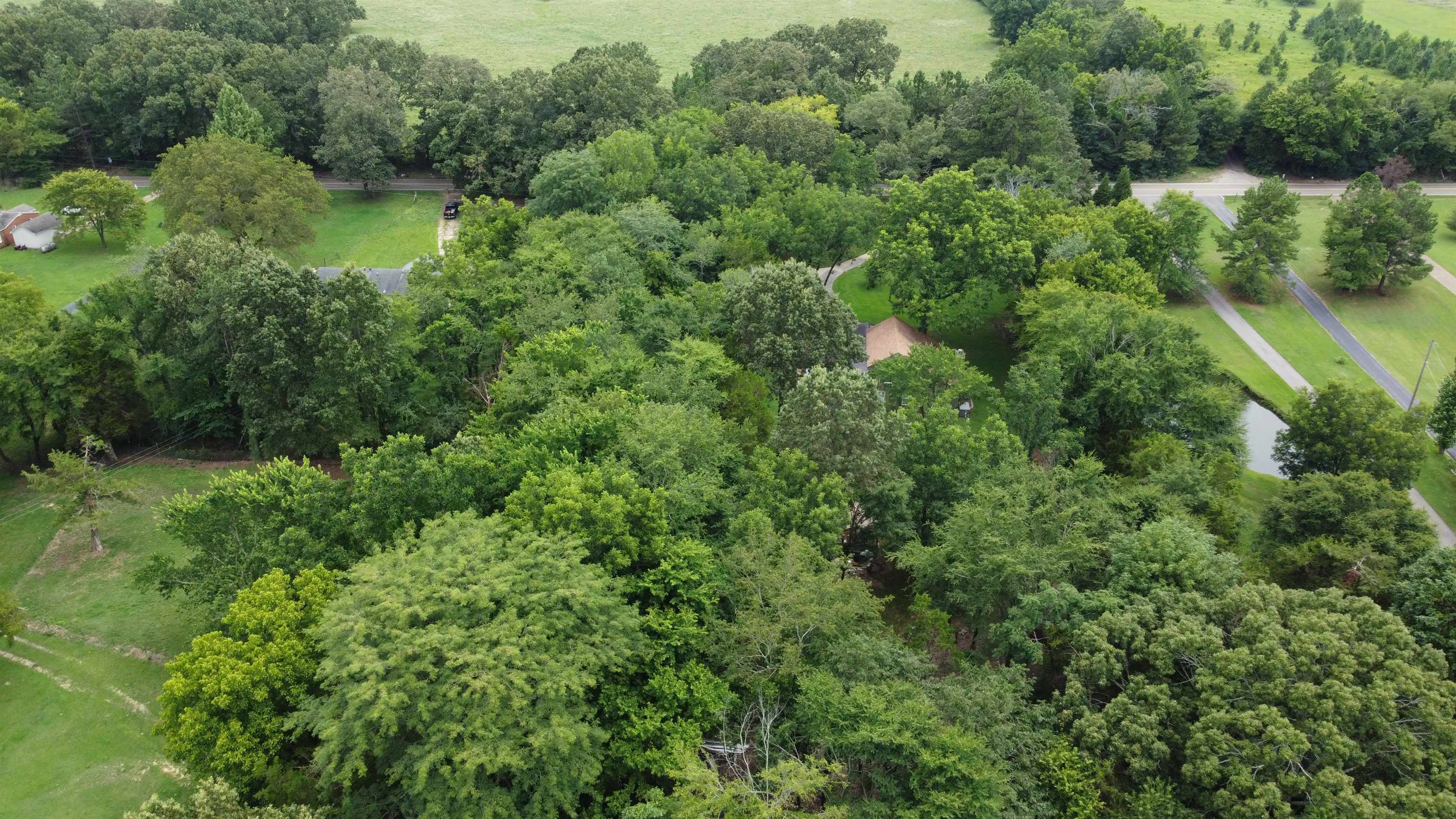 0 Macon Road Eads, TN 38028 - Photo 5 of 8 an aerial view of residential house with outdoor space and trees all around