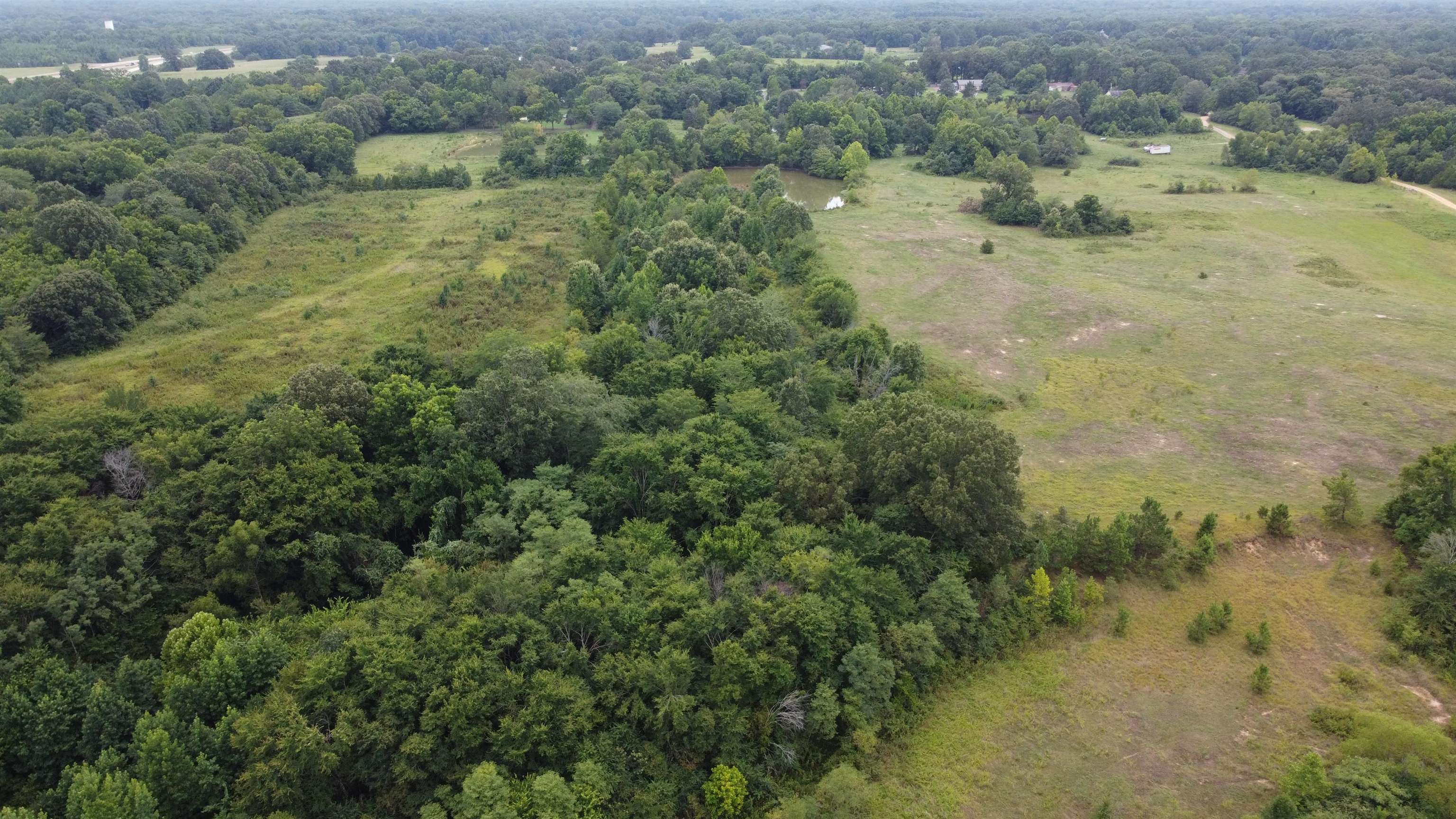 0 Macon Road Eads, TN 38028 - Photo 7 of 8 an aerial view of forest