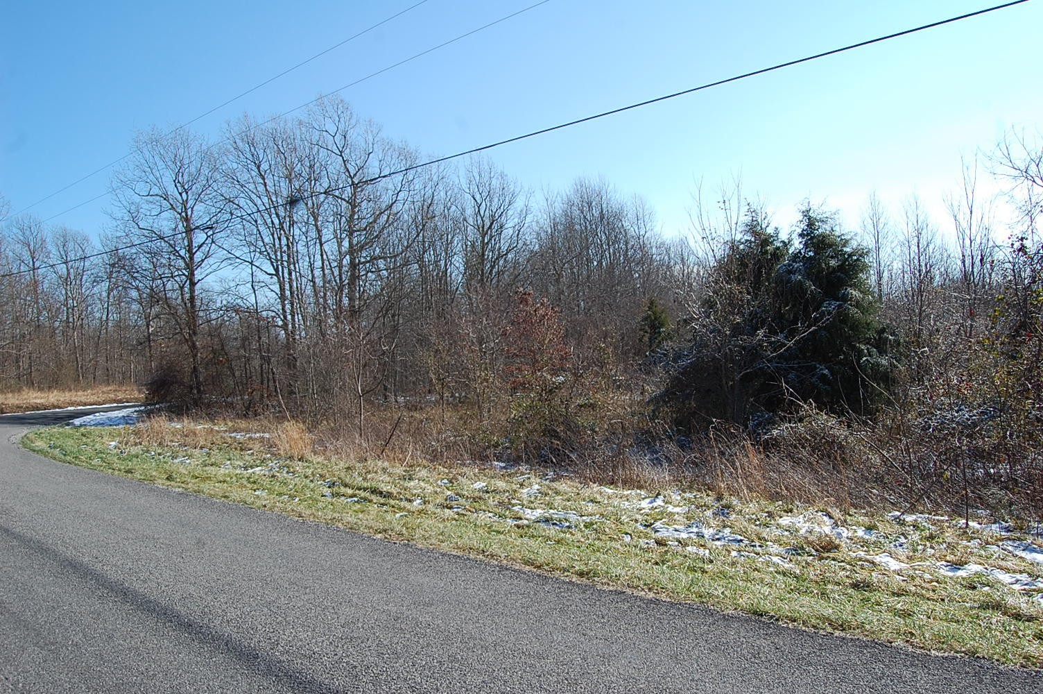 3 Meyers Road Altamont, TN 37301 - Photo 2 of 12