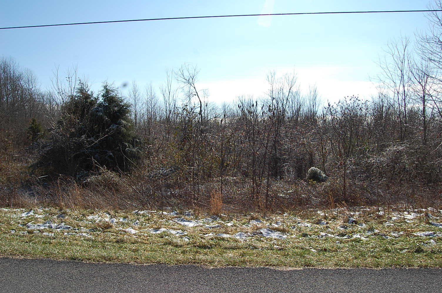 3 Meyers Road Altamont, TN 37301 - Photo 3 of 12