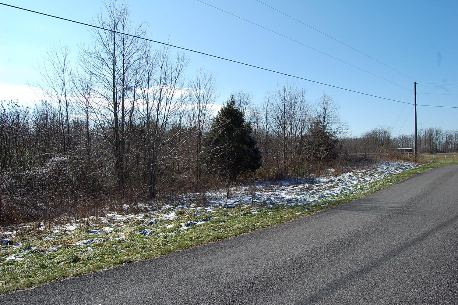 3 Meyers Road Altamont, TN 37301 - Photo 4 of 12