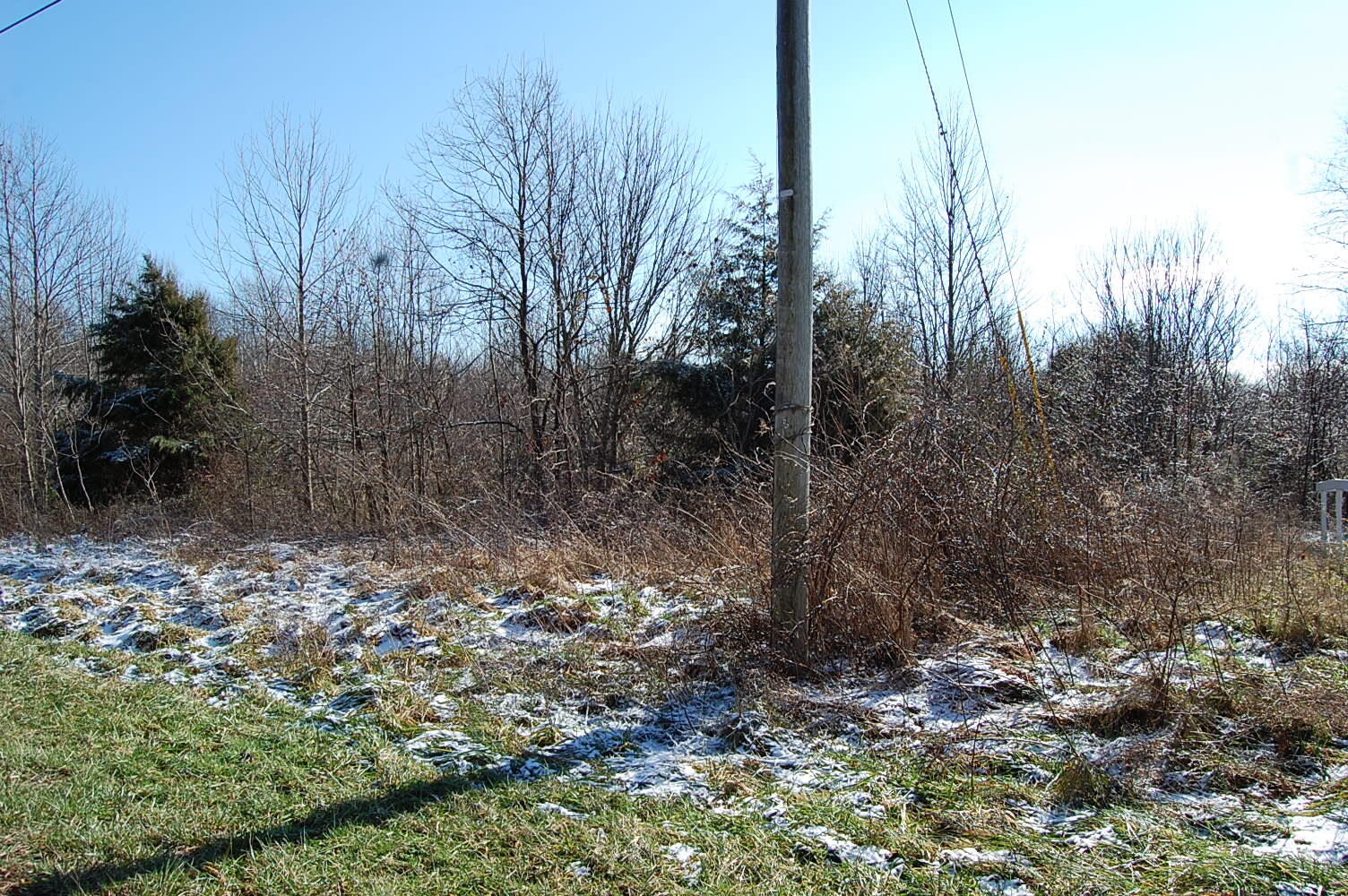 3 Meyers Road Altamont, TN 37301 - Photo 6 of 12