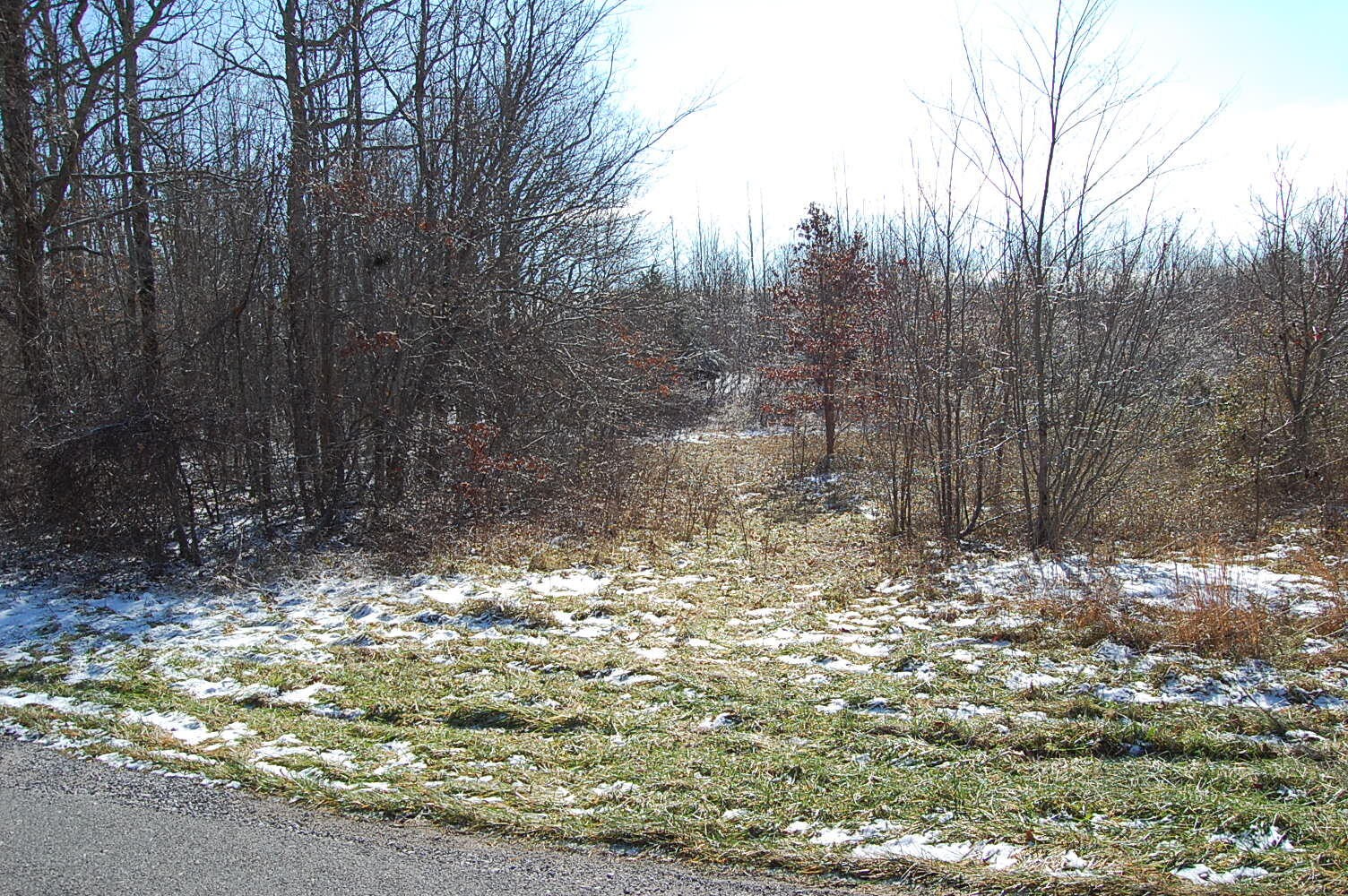 3 Meyers Road Altamont, TN 37301 - Photo 7 of 12