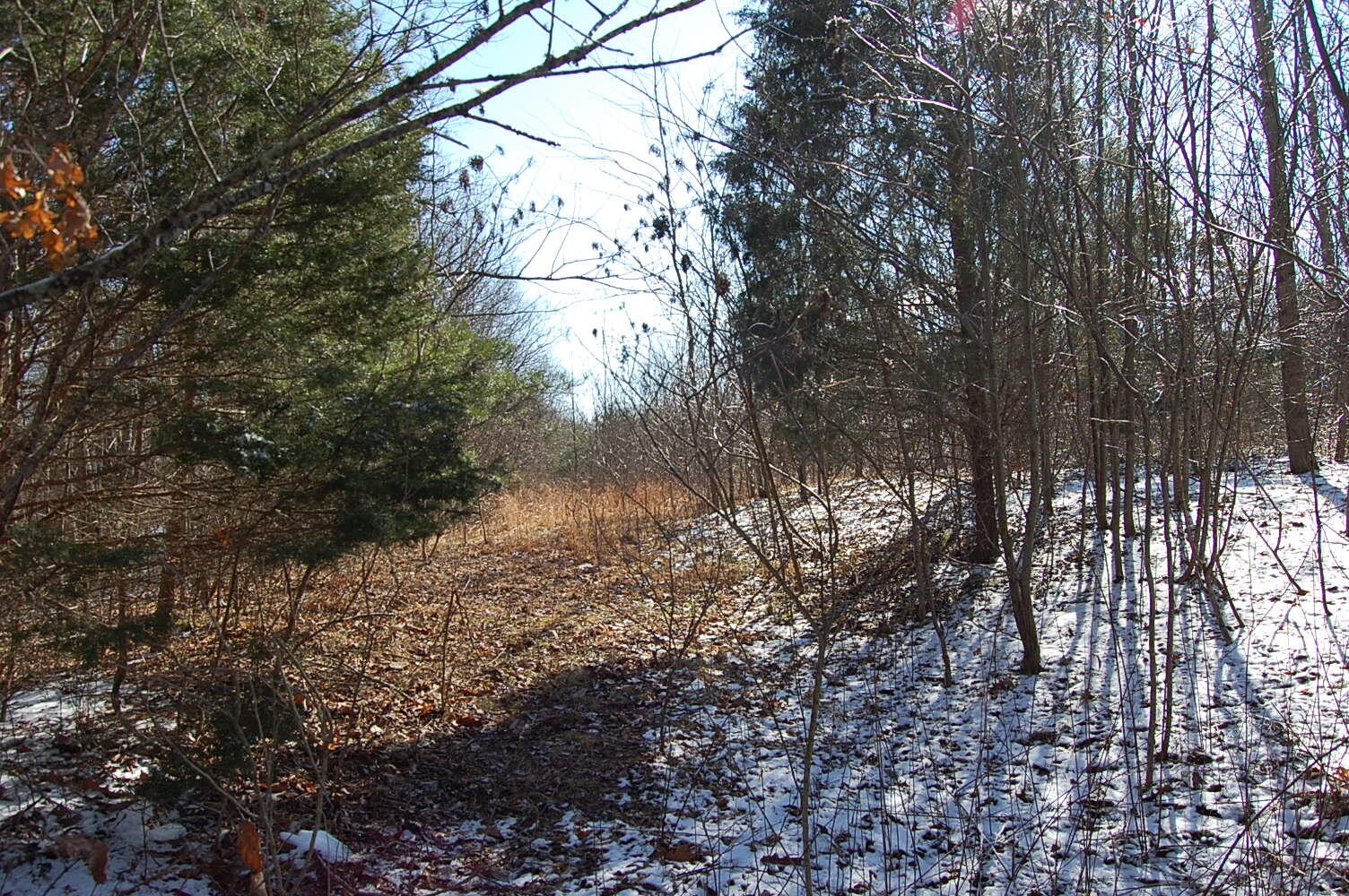 3 Meyers Road Altamont, TN 37301 - Photo 10 of 12