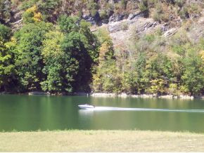 1175 Reynolds Road, Unit 23 Piney Flats, TN 37686 - Photo 3 of 12 Photo 3