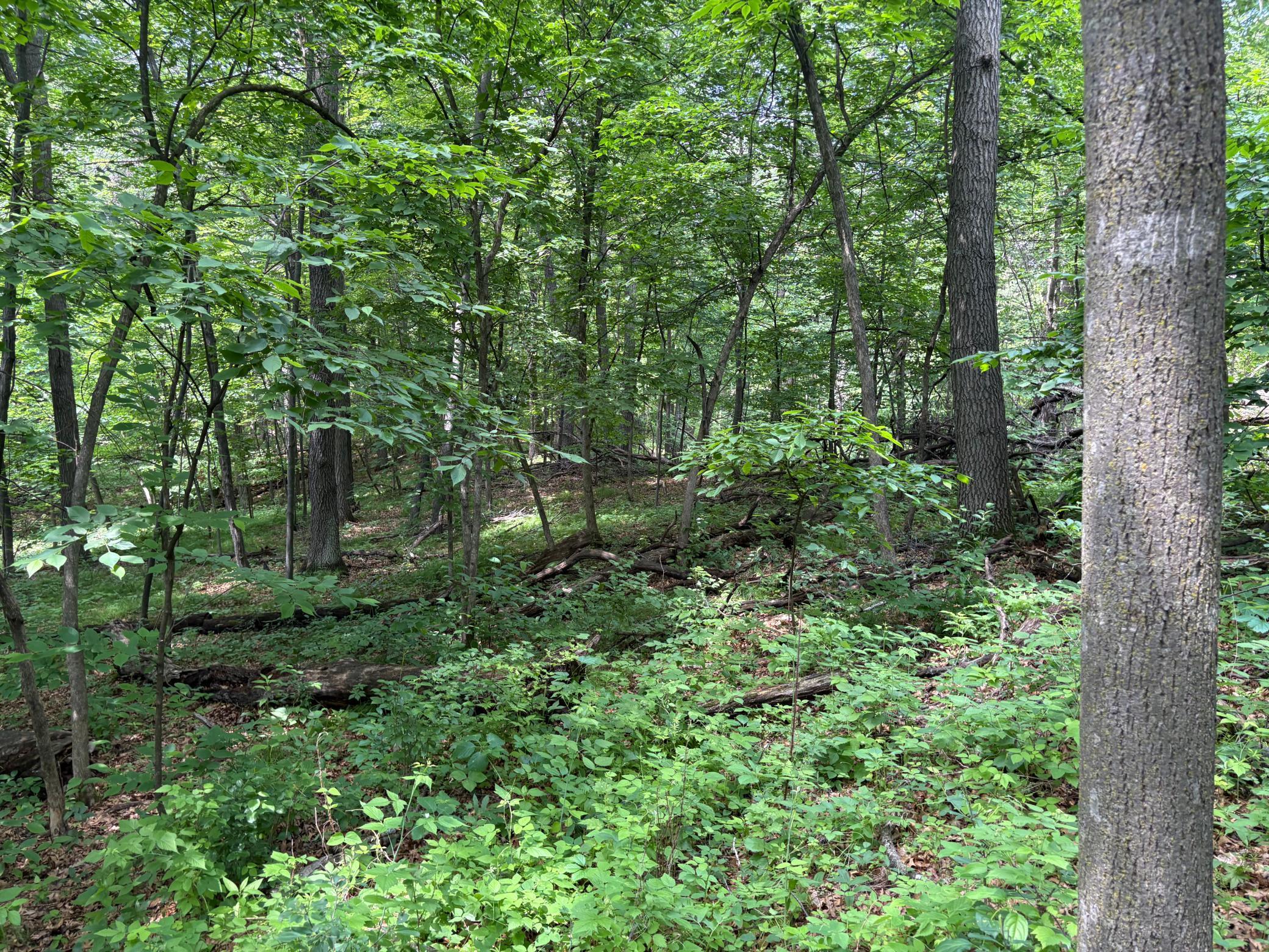 15-xxx Riverside Drive Brainerd, MN 56401 - Photo 11 of 12