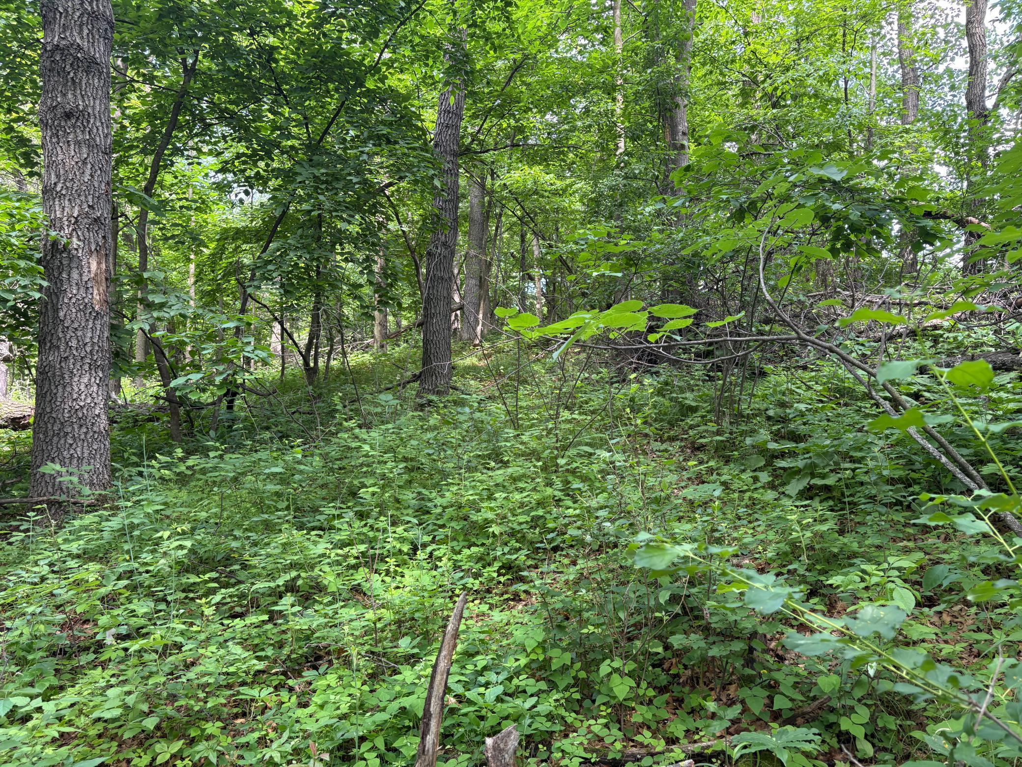 15-xxx Riverside Drive Brainerd, MN 56401 - Photo 12 of 12