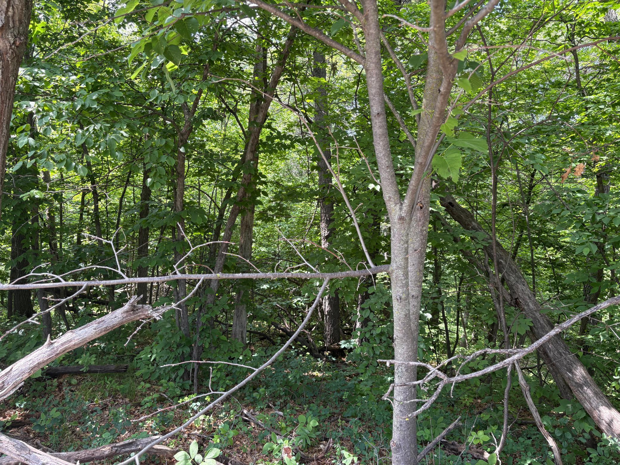 15-xxx Riverside Drive Brainerd, MN 56401 - Photo 7 of 12