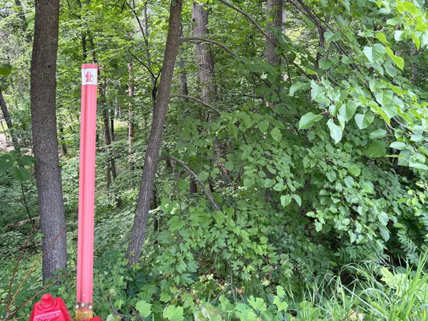 $59,500 | 15-xxx Riverside Drive, Brainerd, MN 56401