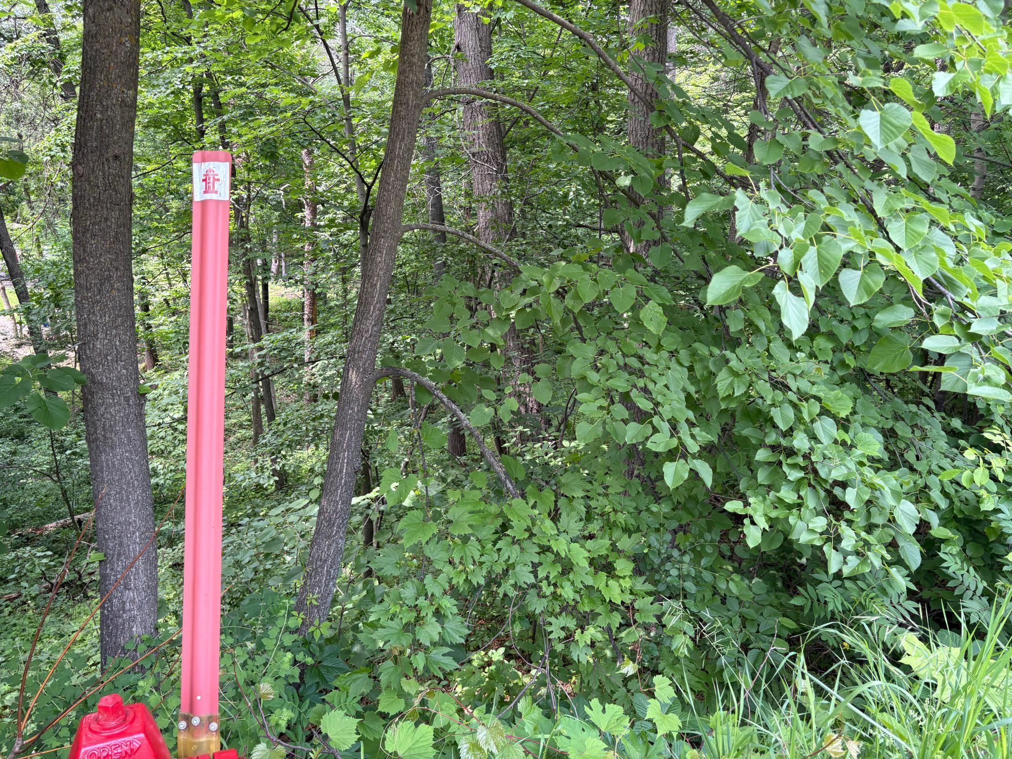 15-xxx Riverside Drive Brainerd, MN 56401 - Photo 9 of 12