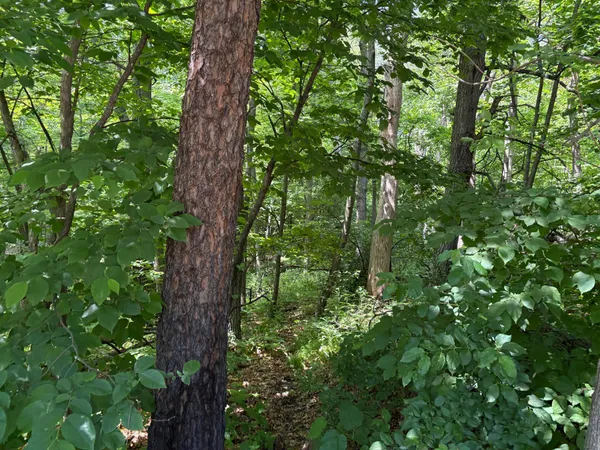 $59,500 | 15-xxx Riverside Drive, Brainerd, MN 56401