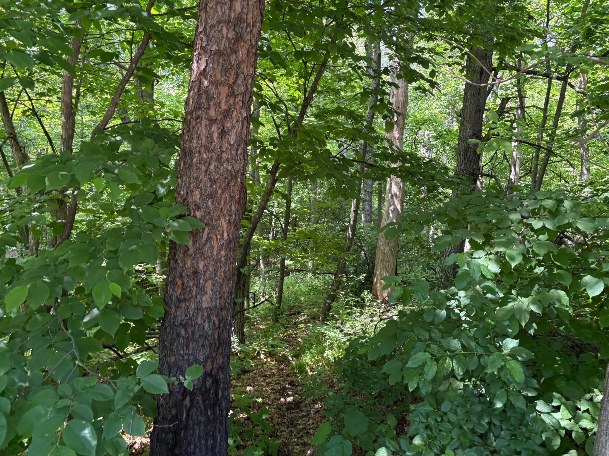 15-xxx Riverside Drive Brainerd, MN 56401 - Photo 10 of 12