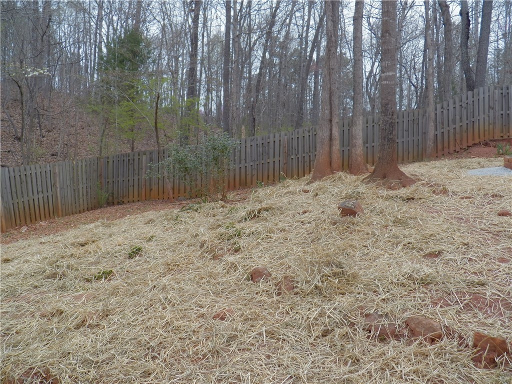 2027 Ridgeview Lane Seneca, SC 29678 - Photo 15 of 21 Gallery Image 15