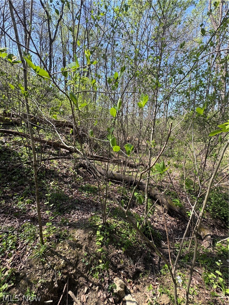 397 South Elliott Road Malta, OH 43758 - Photo 26 of 37