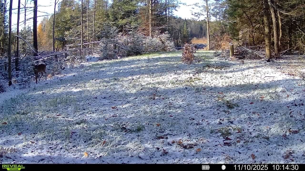 Vl South 27 Road Cadillac, MI 49601 - Photo 15 of 45