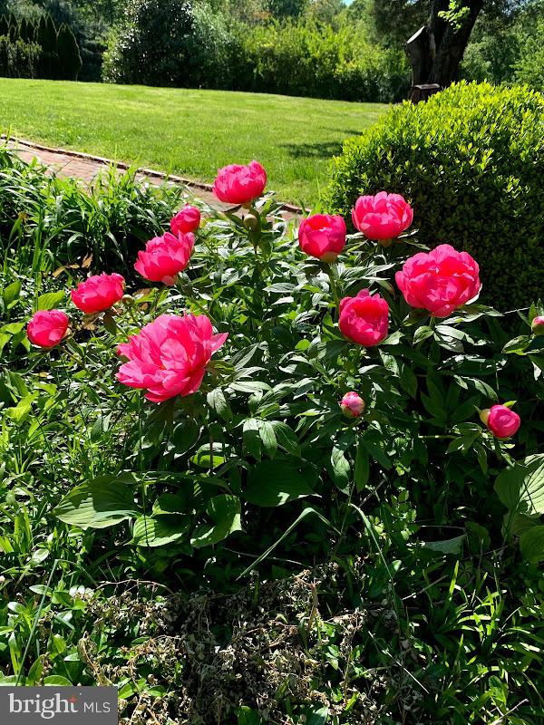 7 Rhododendron Lane Castleton, VA 22716 - Photo 63 of 68