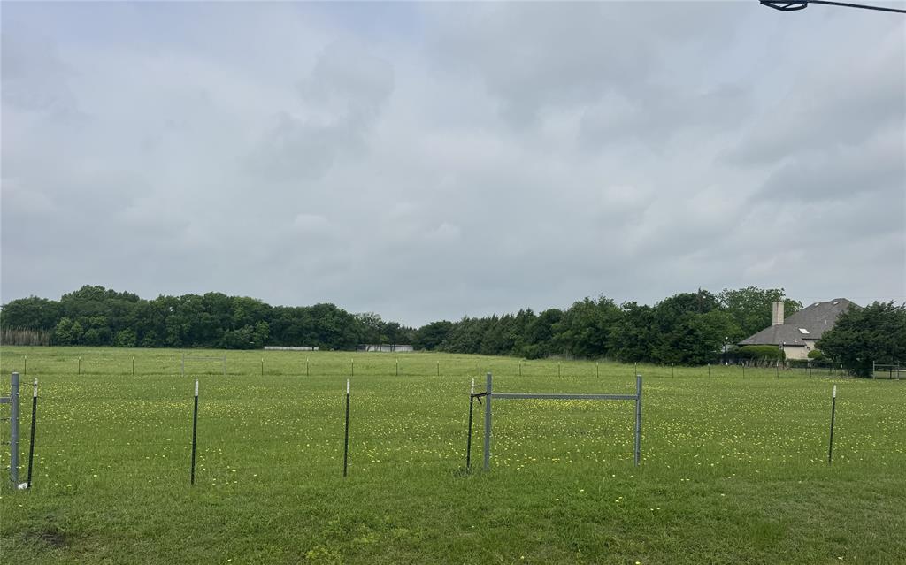 2509 Grace Lane Lancaster, TX 75146 - Photo 2 of 6 Expansive green acreage featuring scattered yellow wildflowers and a perimeter of mature trees