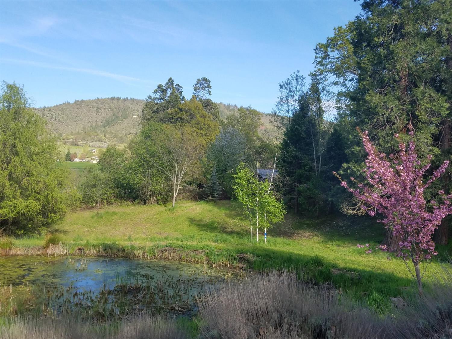 517 Morey Road Talent, OR 97540 - Photo 8 of 15 Additional Photo