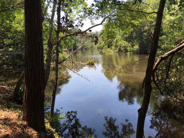 34303 Lost River Road Seminole, AL 36574 - Photo 12 of 31
