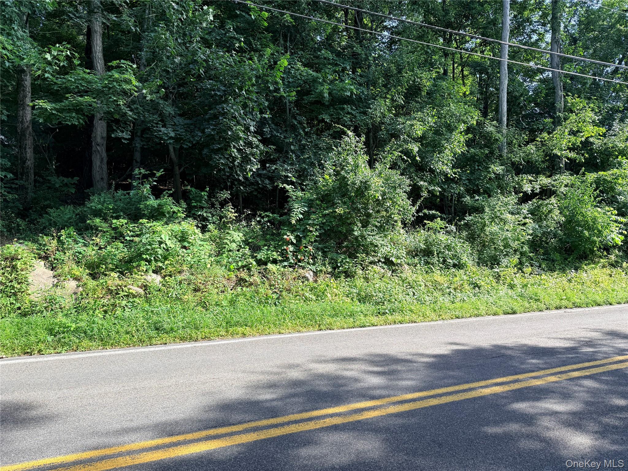 Brewer Road Newburgh, NY 12550 - Photo 1 of 1
