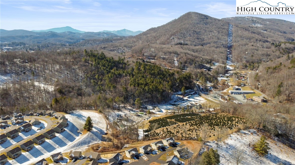 233 Ava Way, Unit 109 Boone, NC 28607 - Photo 25 of 26 a view of a city with lush green forest