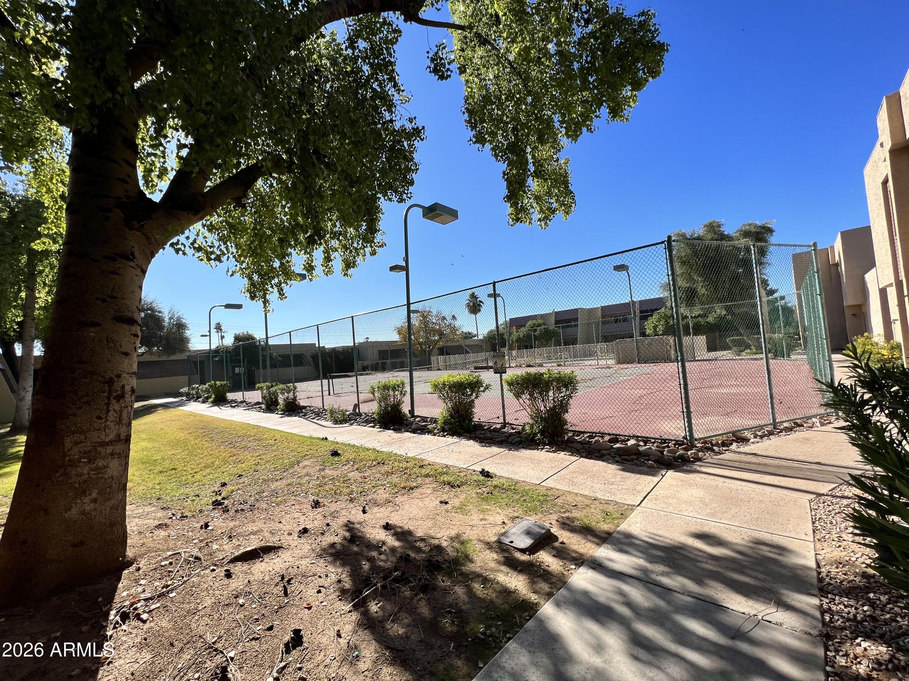 617 West 13th Street Tempe, AZ 85281 - Photo 6 of 23 a view of a backyard