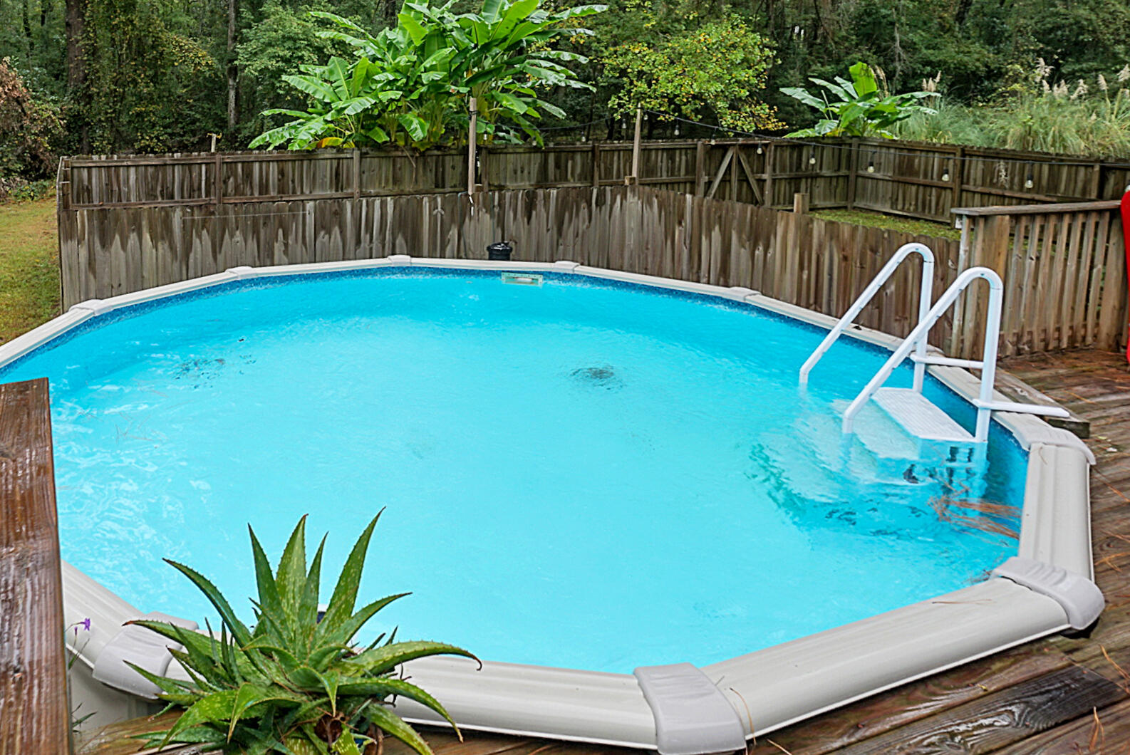 7423 Parish Point Road Meggett, SC 29449 - Photo 50 of 62 DSC00376