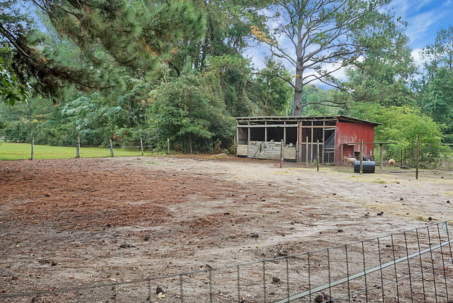 7423 Parish Point Road Meggett, SC 29449 - Photo 54 of 62 DSC00391