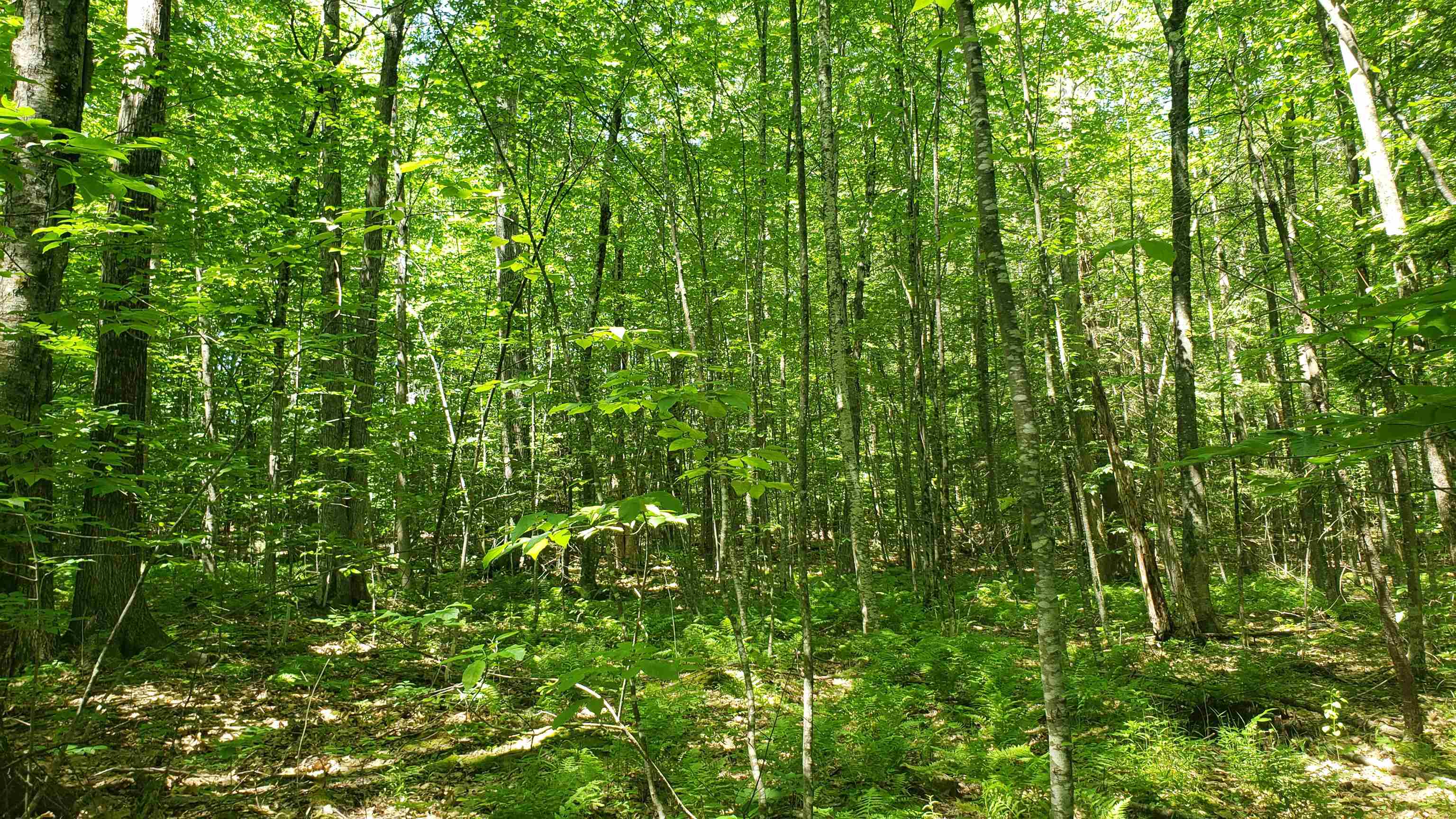 416 S Road Salisbury, NH 03268 - Photo 25 of 26