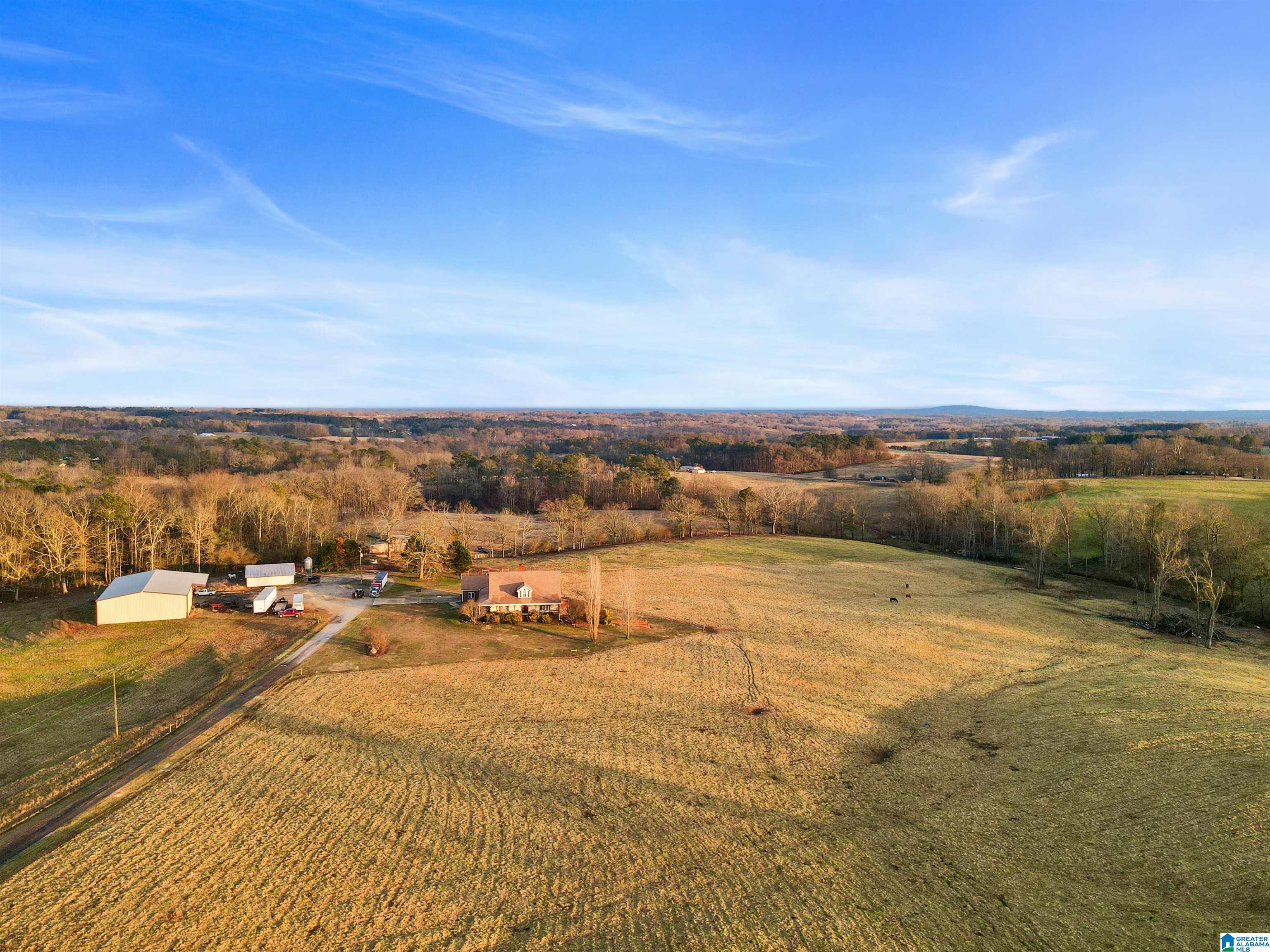 80 County Road 624 Ranburne, AL 36273 - Photo 9 of 49
