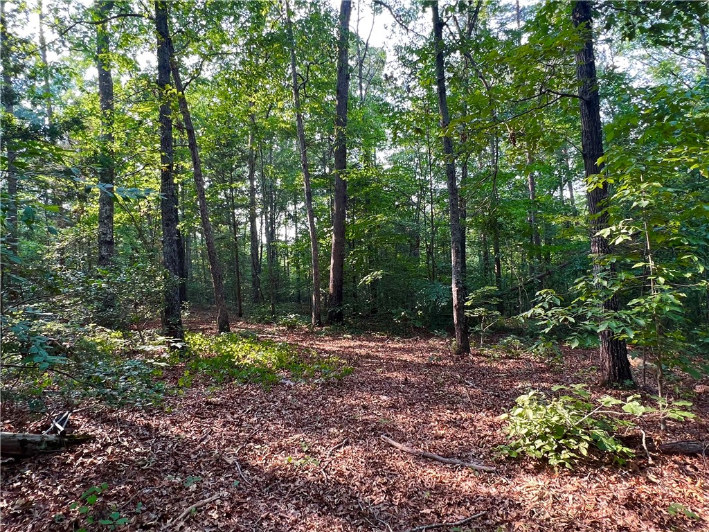2 Howe Road Central, SC 29630 - Photo 11 of 15
