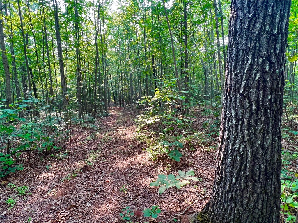 2 Howe Road Central, SC 29630 - Photo 15 of 15
