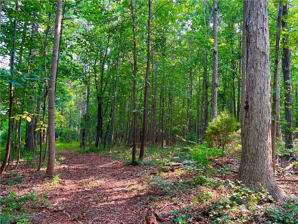 2 Howe Road Central, SC 29630 - Photo 9 of 15
