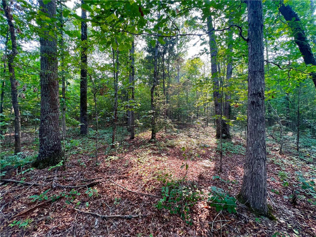 2 Howe Road Central, SC 29630 - Photo 10 of 15
