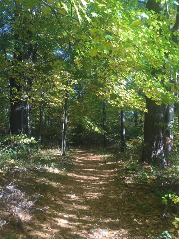 0 Bond Street Canaan, CT 06018 - Photo 1 of 1 Gallery Image 1